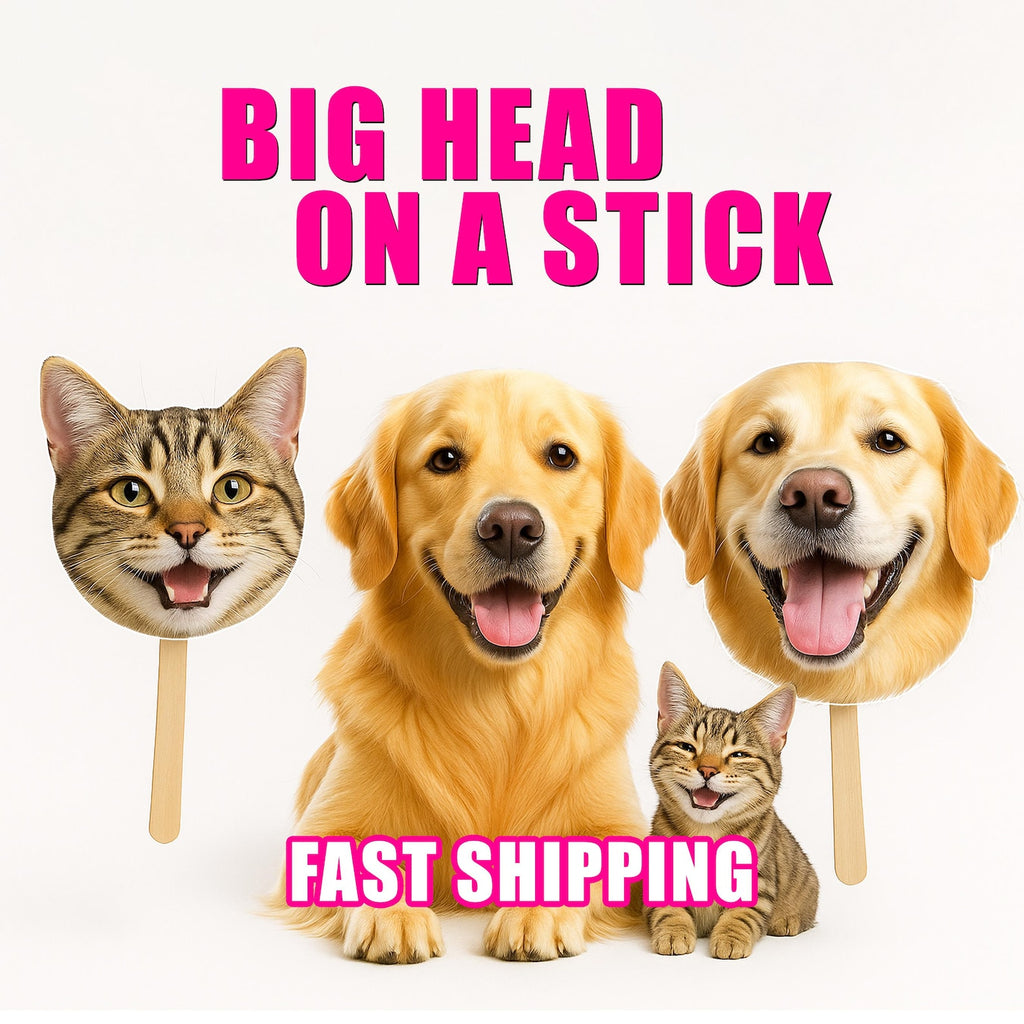 Décorations pour photos de groupe (têtes géantes, etc.) - Enterrement de vie de jeune fille/garçon - Accessoire photo pour mariage/remise de diplômes/événement sportif